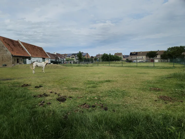 Bredene (Belgium)